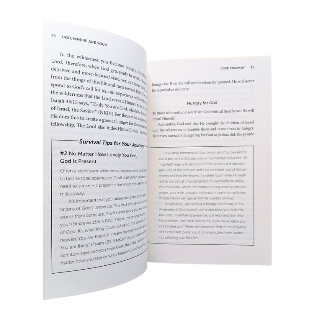 malaysia-online-christian-bookstore-faith-book-store-english-book-god-,-where-are-you-!-finding-strength-&-purpose-in-your-wilderness-john-bevere-9781937558192-800x800-6