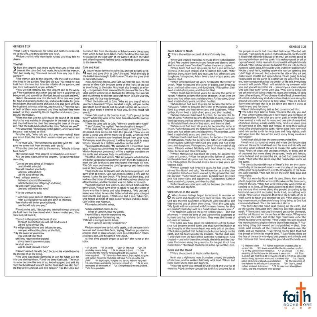 malaysia-online-christian-bookstore-faith-book-store-english-new-international-version-niv-holy-bible-hope-for-every-day-economy-edition-paperback-softcover-zondervan-9780310455028-3