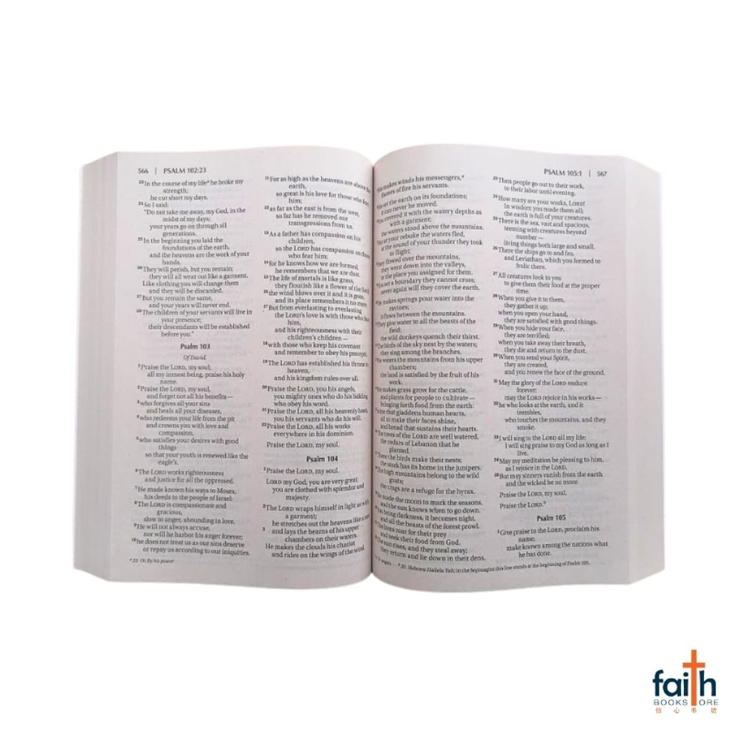 malaysia-online-christian-bookstore-faith-book-store-english-holy-bible-new-international-version-niv-outreach-large-print-bible-for-kids-paperback-softcover-zondervan-zonderkidz-9780310763246-7