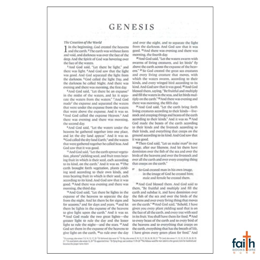 malaysia-online-christian-bookstore-faith-book-store-english-holy-bible-english-standard-version-esv-compact-bible-trutone-silver-sword-design-imitation-leather-zondervan-gladsounds-9781433551383-4