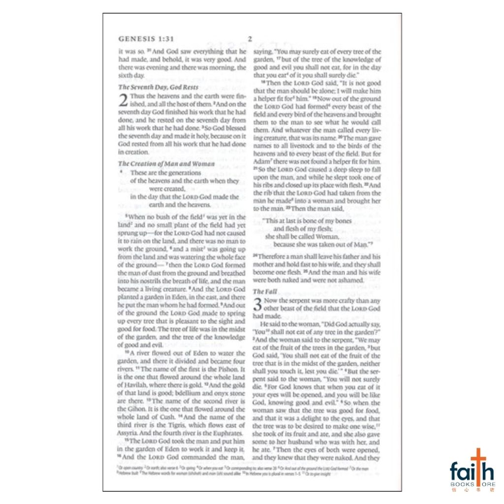 malaysia-online-christian-bookstore-faith-book-store-english-holy-bible-english-standard-version-esv-compact-bible-trutone-silver-sword-design-imitation-leather-zondervan-gladsounds-9781433551383-5