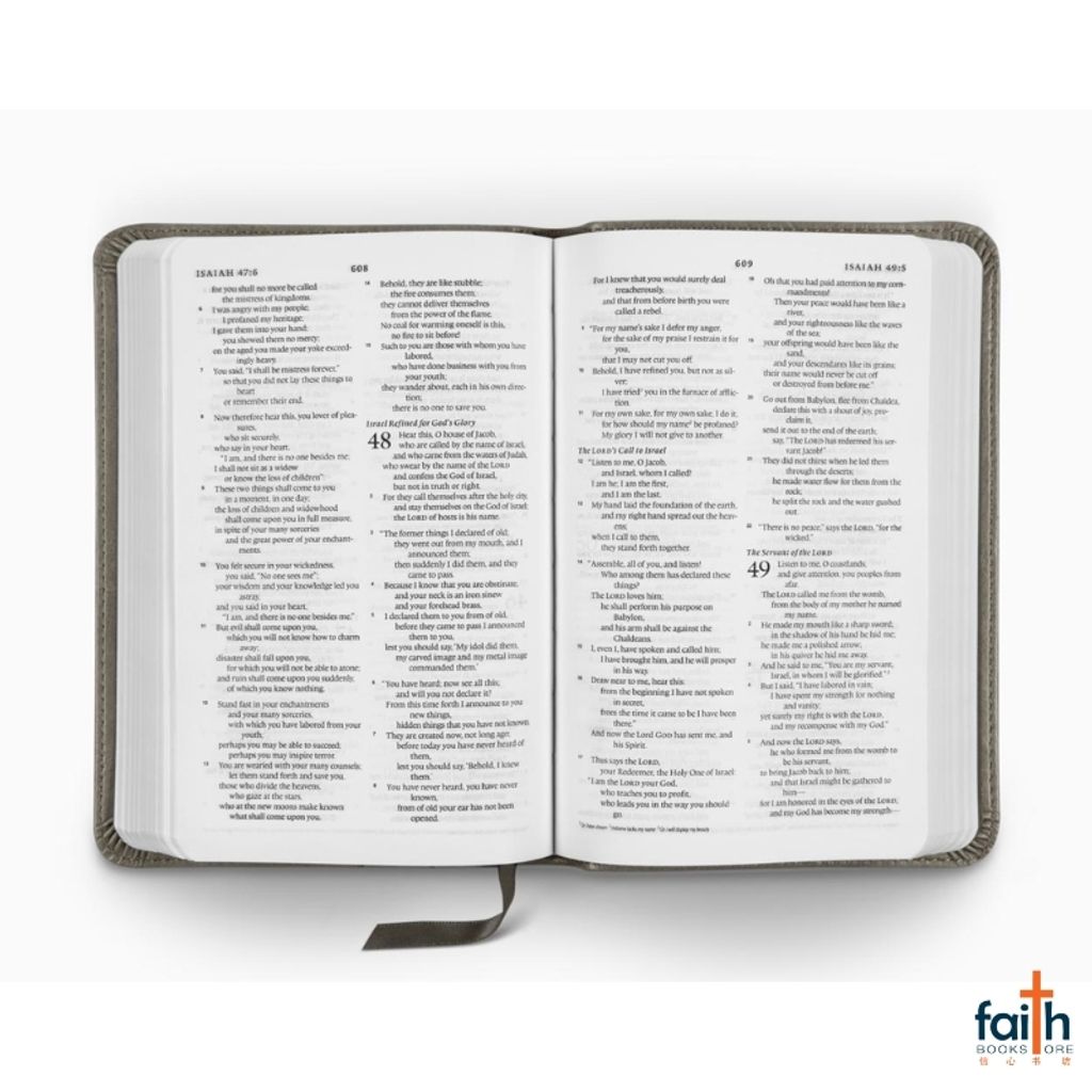 malaysia-online-christian-bookstore-faith-book-store-english-holy-bible-english-standard-version-esv-compact-bible-trutone-silver-sword-design-imitation-leather-zondervan-gladsounds-9781433551383-3