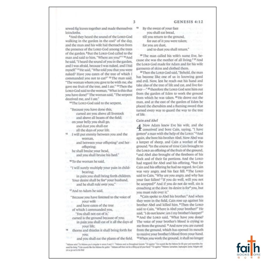 malaysia-online-christian-bookstore-faith-book-store-english-holy-bible-english-standard-version-esv-compact-bible-trutone-silver-sword-design-imitation-leather-zondervan-gladsounds-9781433551383-6