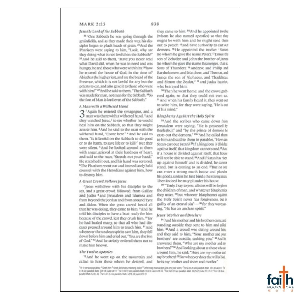 malaysia-online-christian-bookstore-faith-book-store-english-holy-bible-english-standard-version-esv-compact-bible-trutone-silver-sword-design-imitation-leather-zondervan-gladsounds-9781433551383-9