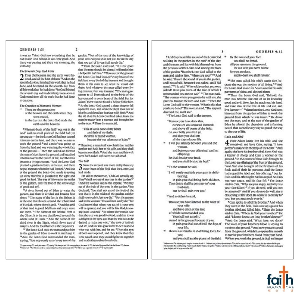 malaysia-online-christian-bookstore-faith-book-store-english-holy-bible-english-standard-version-esv-compact-bible-trutone-blush-rose-emblem-design-imitation-leather-zondervan-gladsounds-9781433595608-6