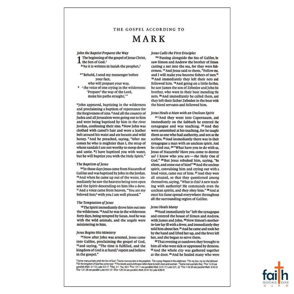 malaysia-online-christian-bookstore-faith-book-store-english-holy-bible-english-standard-version-esv-premium-church-bible-trutone-brown-imitation-leather-zondervan-gladsounds-9798874903435-7