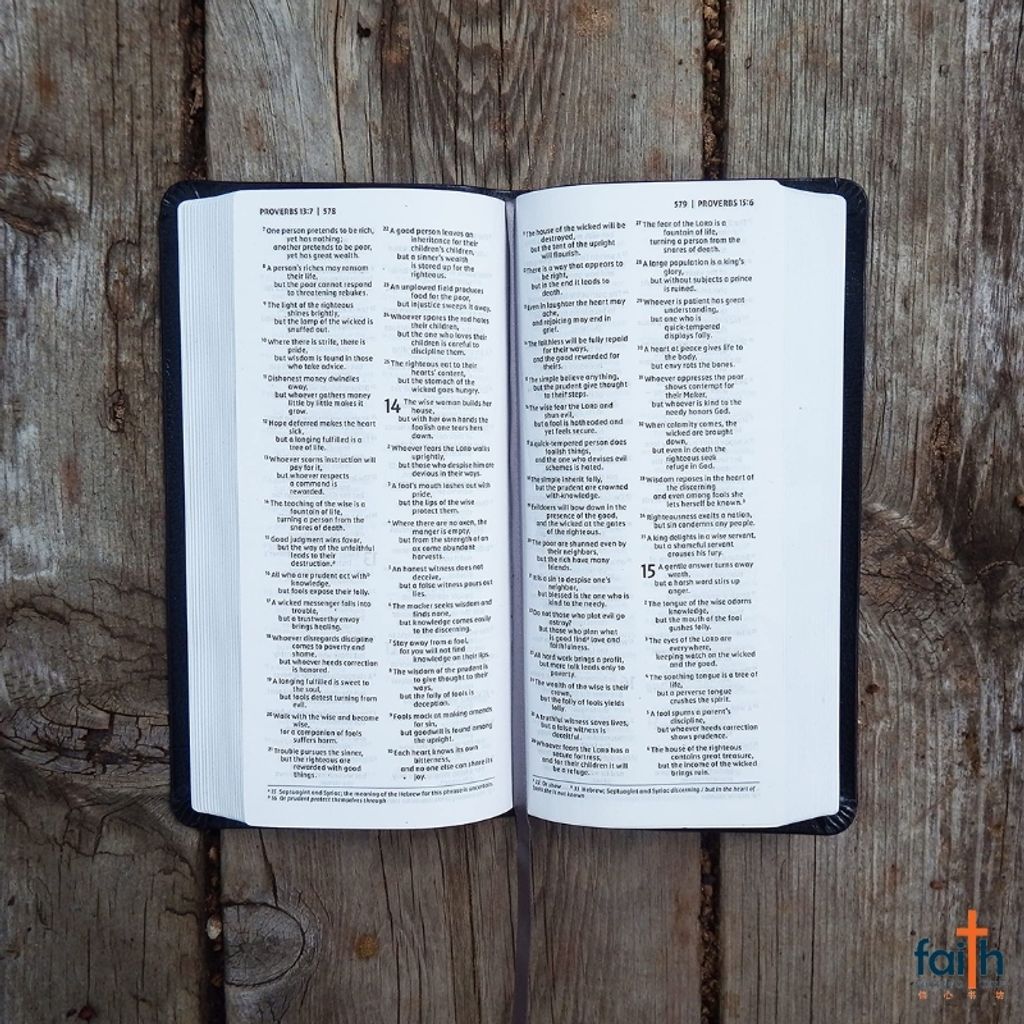 malaysia-online-christian-bookstore-faith-book-store-english-holy-bible-new-international-version-niv-pocket-thinline-bible-bonded-leather-black-zondervan-red-letter-comfort-print-9780310458166-3