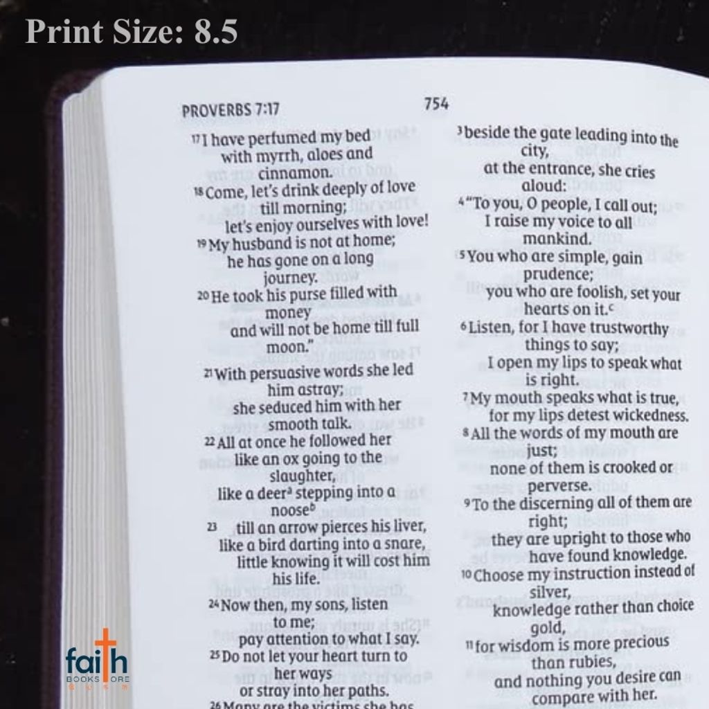 malaysia-online-christian-bookstore-faith-book-store-english-holy-bible-new-international-version-niv-larger-print-compact-bible-leathersoft-imitation-leather-brown-zondervan-red-letter-9780310458104-5