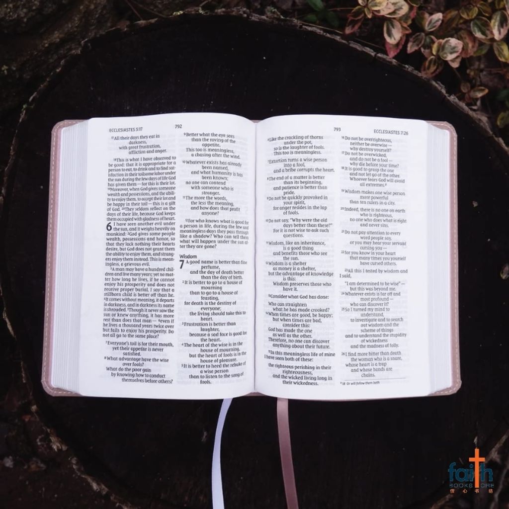 malaysia-online-christian-bookstore-faith-book-store-english-holy-bible-new-international-version-niv-larger-print-compact-bible-leathersoft-imitation-leather-pink-zondervan-red-letter-9780310458128-3