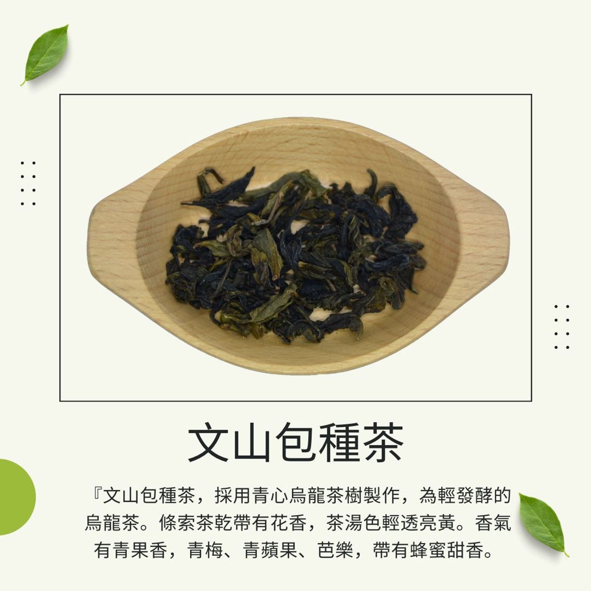 品茶誌：文山包種茶