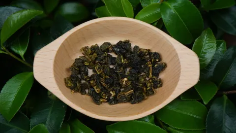 烏龍茶乾.JPG