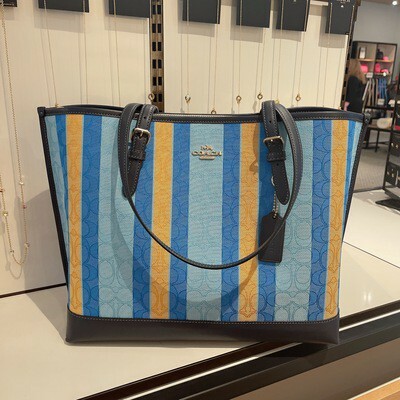 coach crossbody blue bag