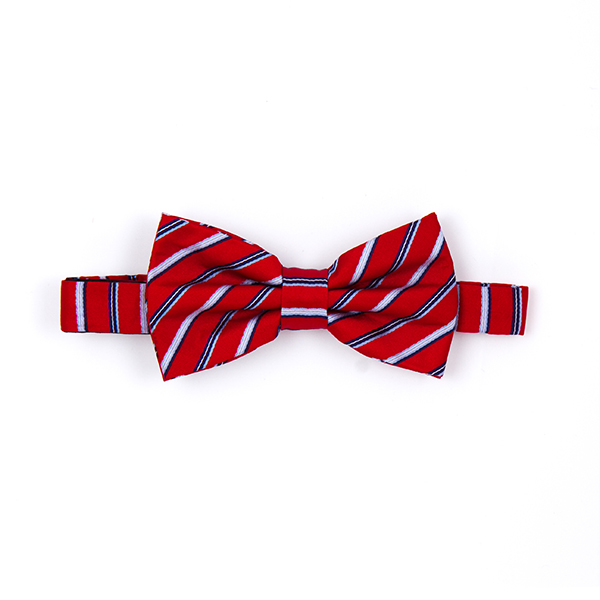 BOW-4.jpg