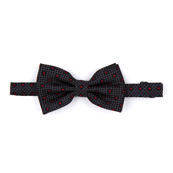BOW-5.jpg
