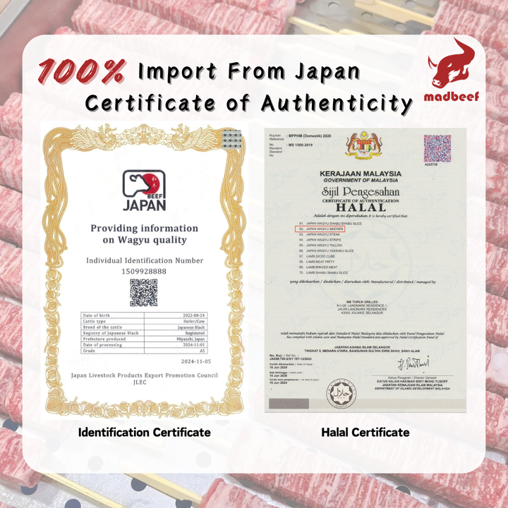 certificate (1)