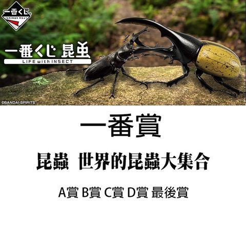 815af20cda0e0c71396147c72b5d5c02