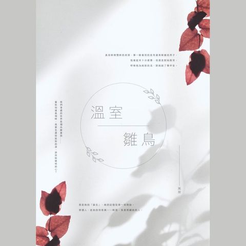 tw-11134207-81ztl-mifr05n76e4nc8