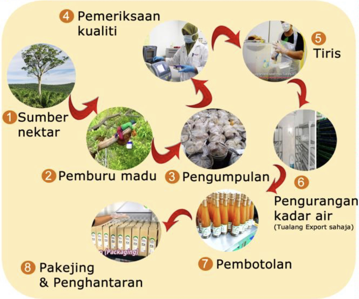 Proses_pembungkusan_madu_asli_quadmeds.jpeg