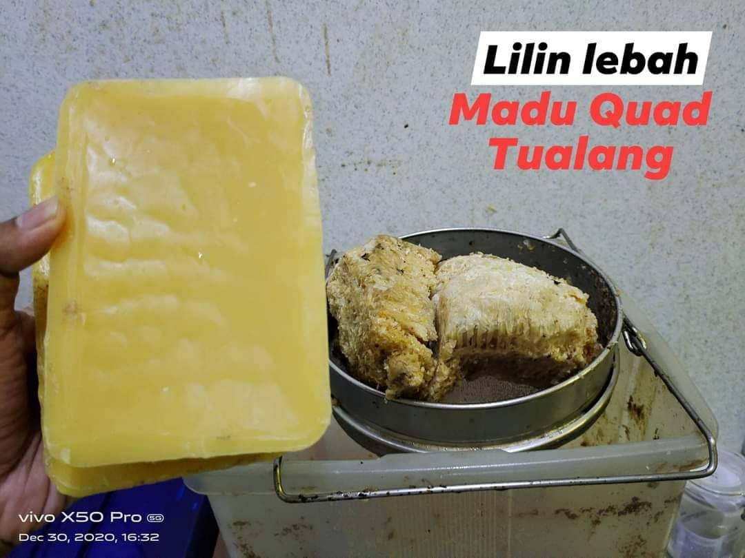 Wajib tanya penjual madu, “Ada jual Sarang Tualang?”