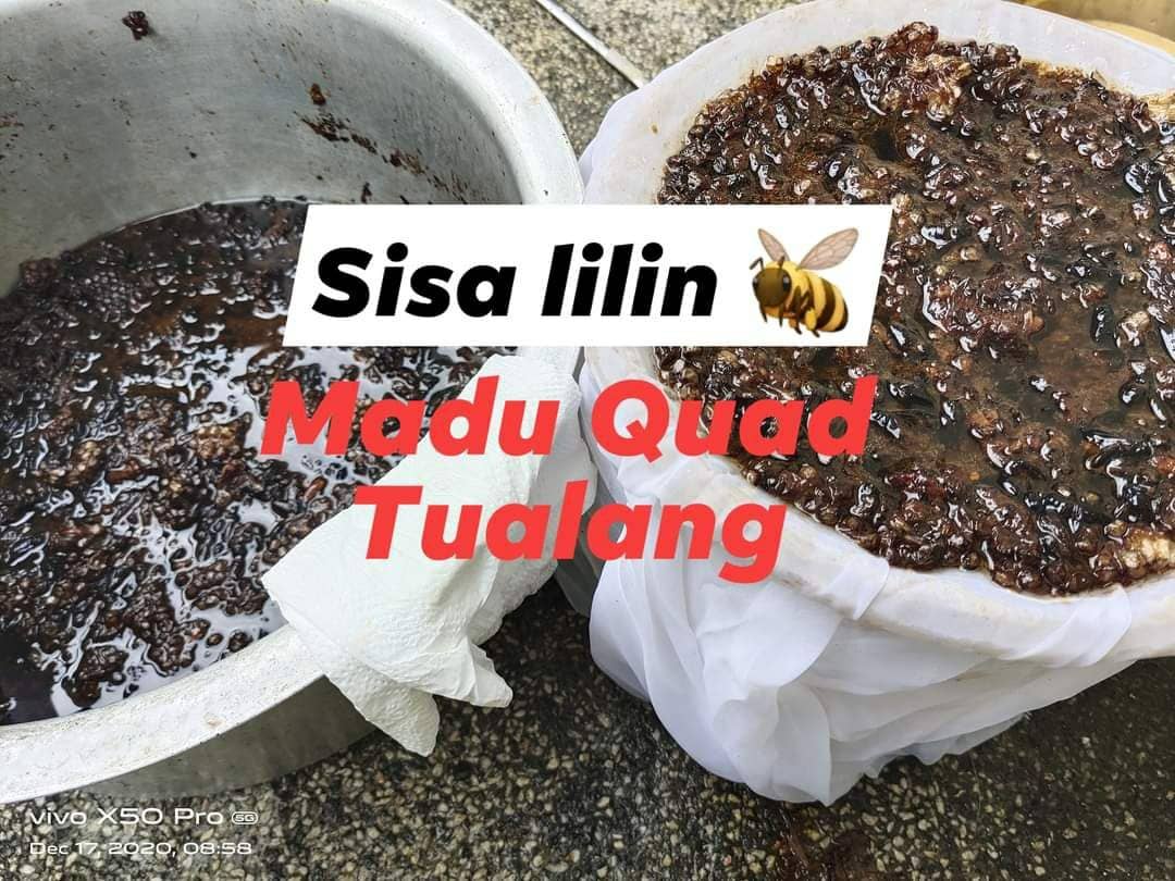 Sisa lilin tualang.jpeg