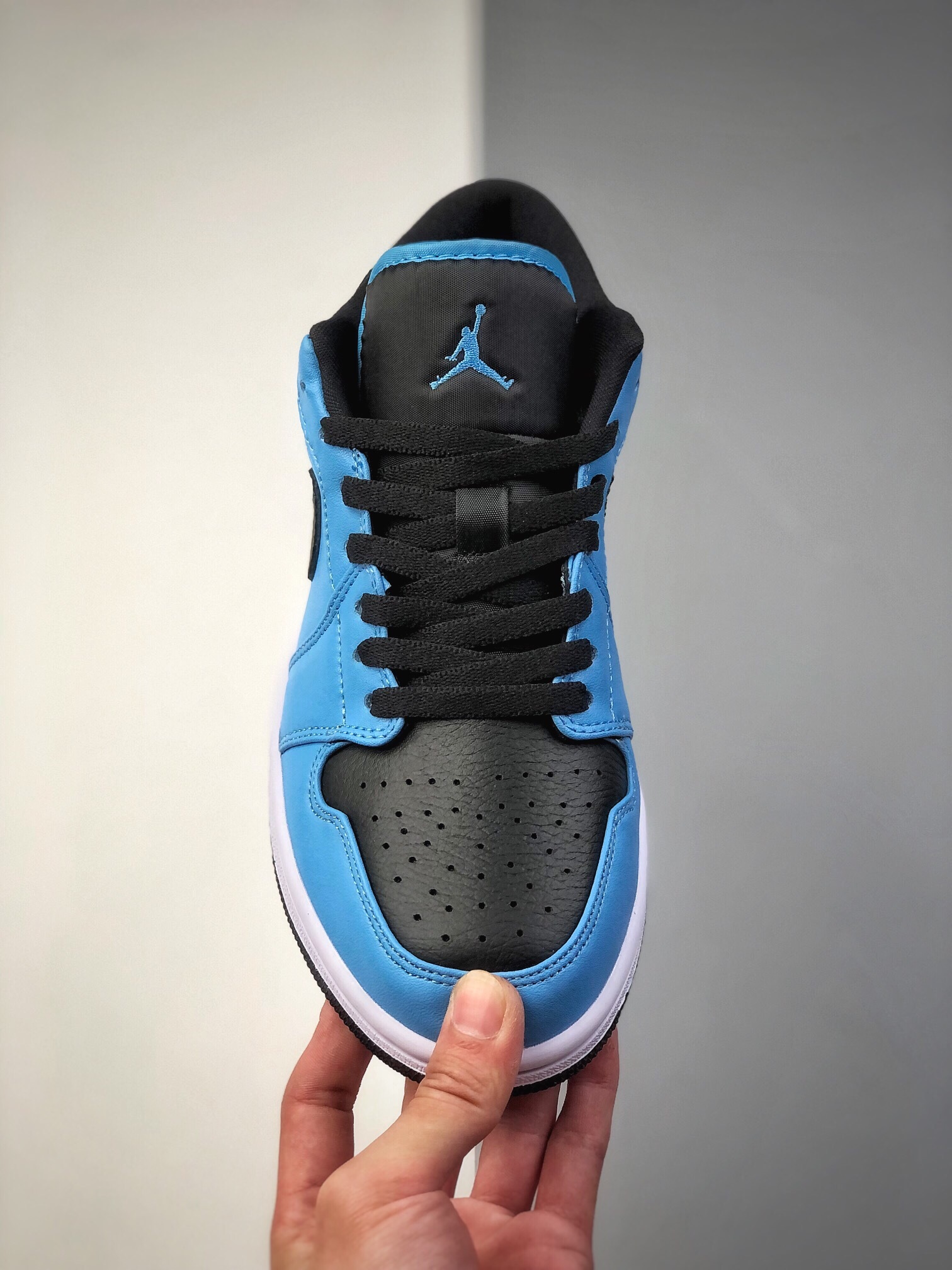 140 AJ1 Low 36-47.5 (1)