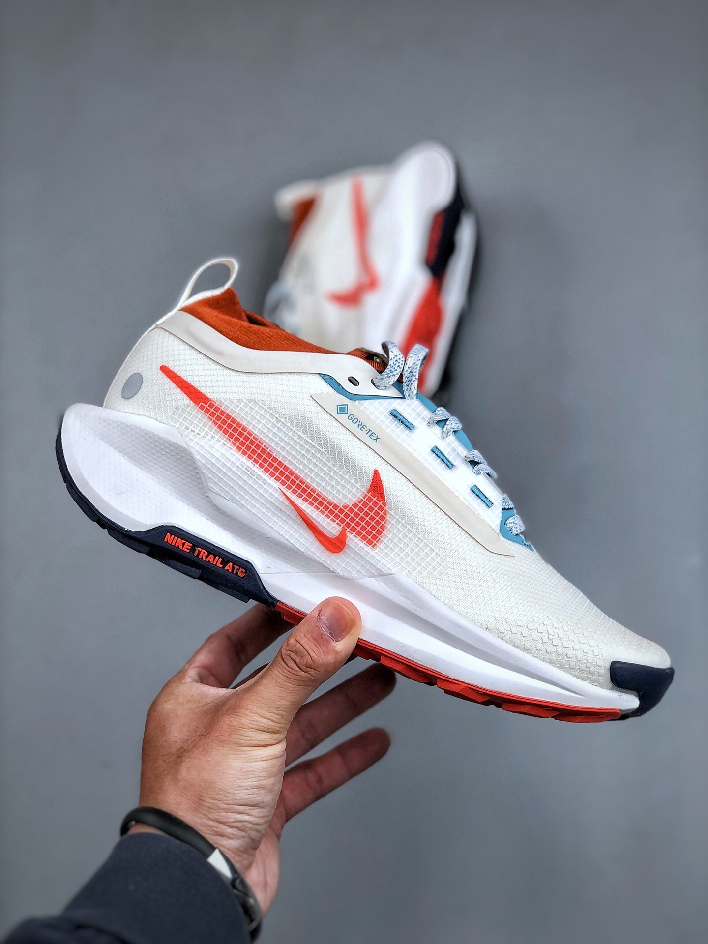 Pegasus Trail 5 GORE 165 (73)