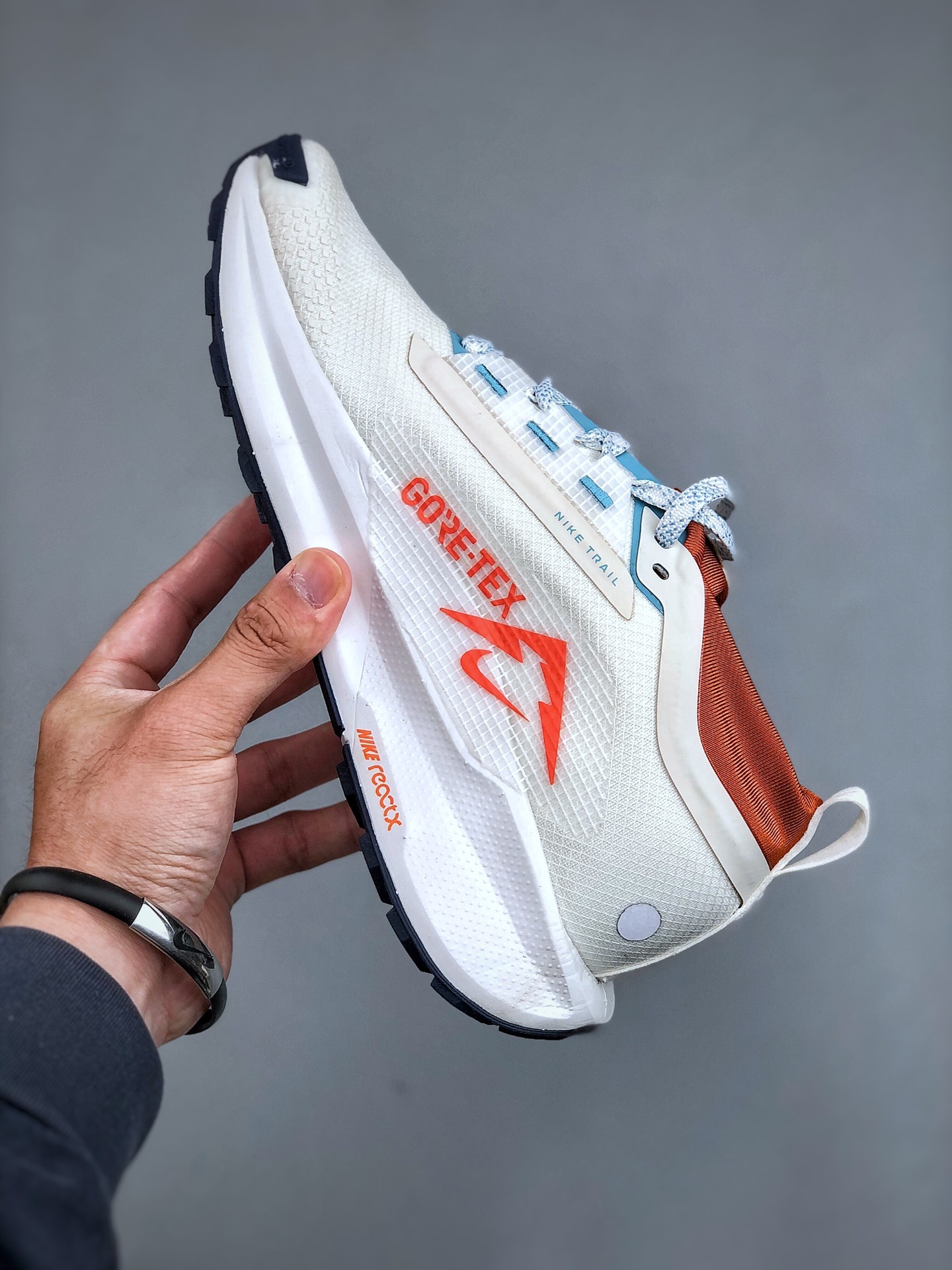 Pegasus Trail 5 GORE 165 (71)