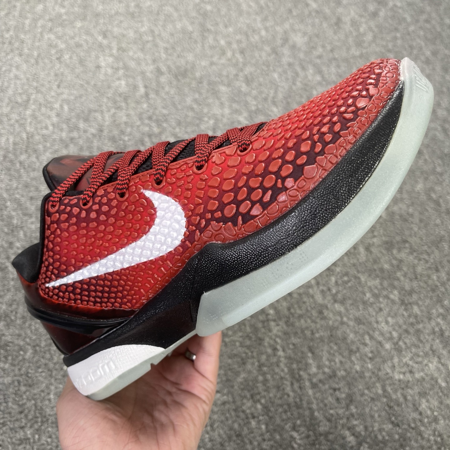 Kobe 6 170 (45)