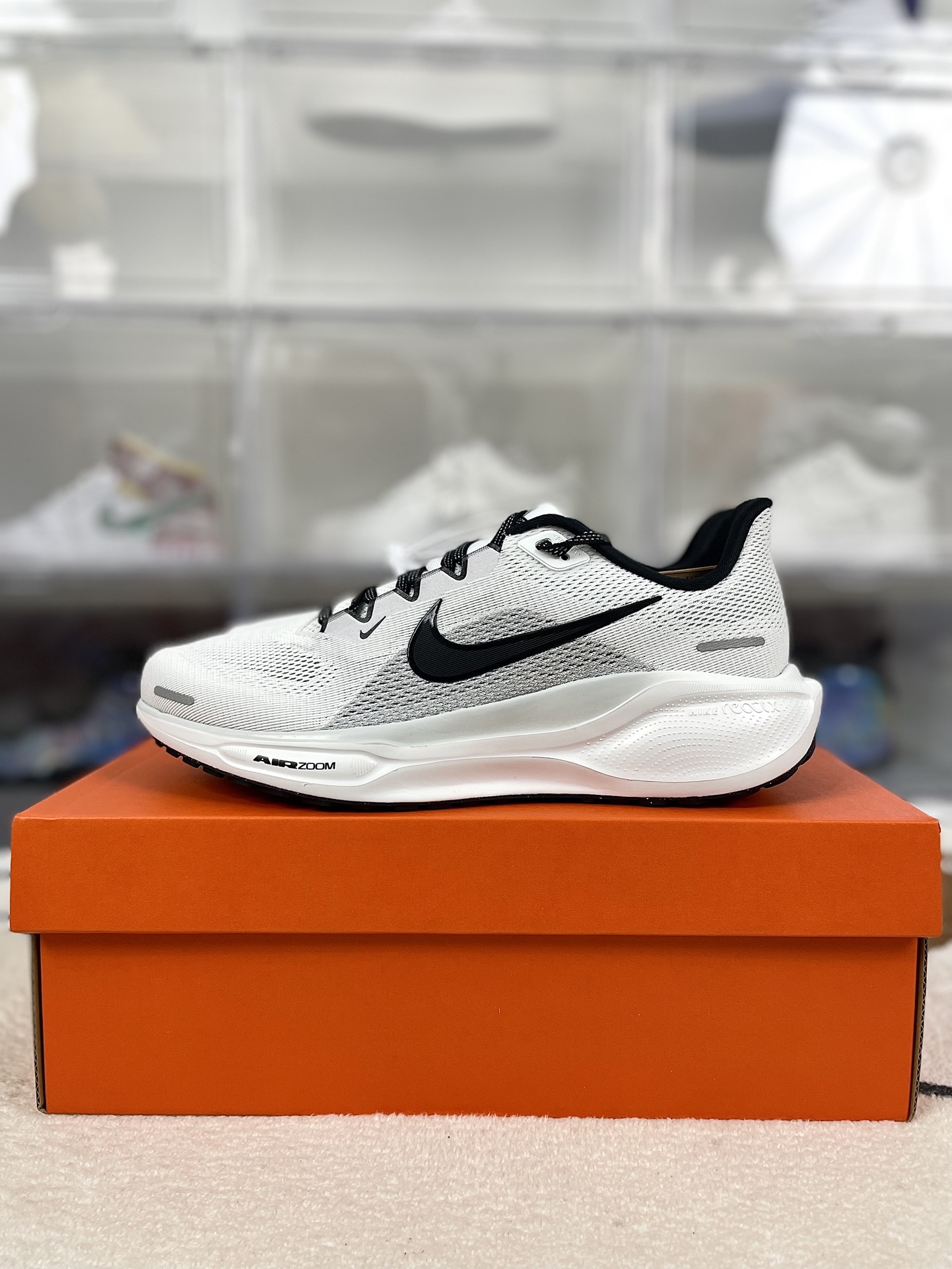 Air Zoom Pegasus 41 150 (36)