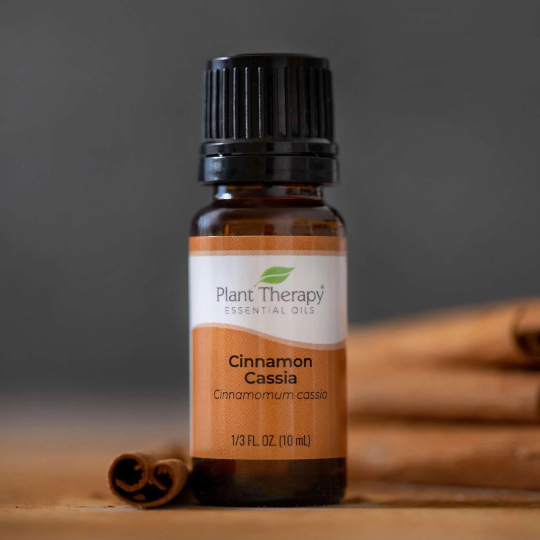 CINNAMON CASSIA | Joy of Oiling - Plant Therapy Malaysia | The Nature of Things Malaysia