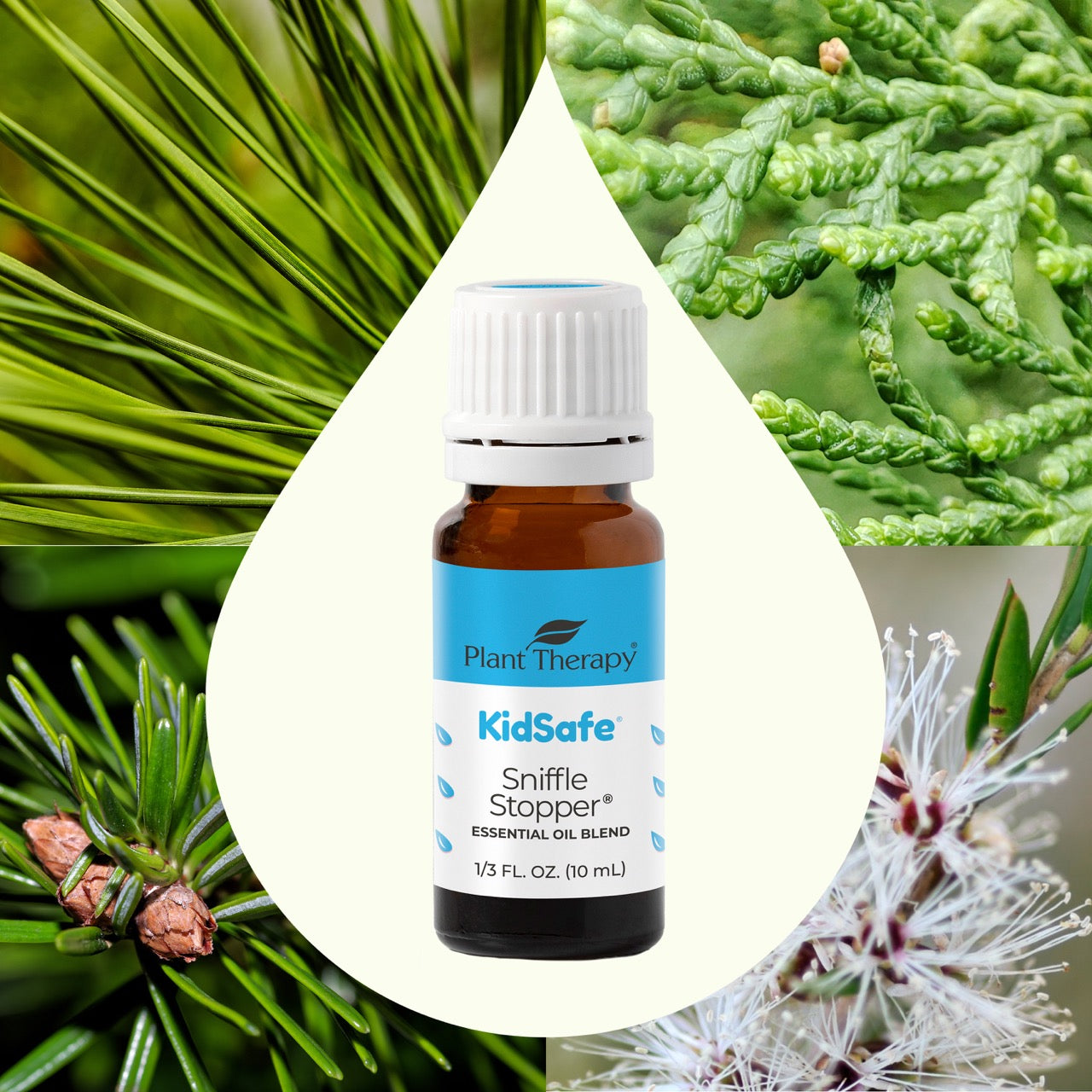 SNIFFLE STOPPER KIDSAFE ESSENTIAL OIL | Joy of Oiling - Plant Therapy Malaysia | The Nature of Things Malaysia