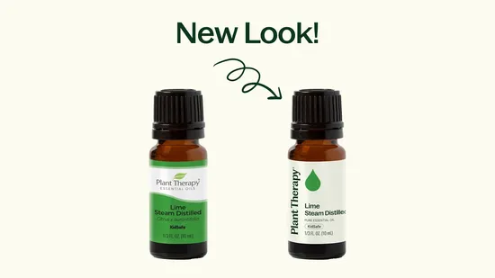 New Look! | Joy of Oiling - Plant Therapy Malaysia Authorised Wholesaler
