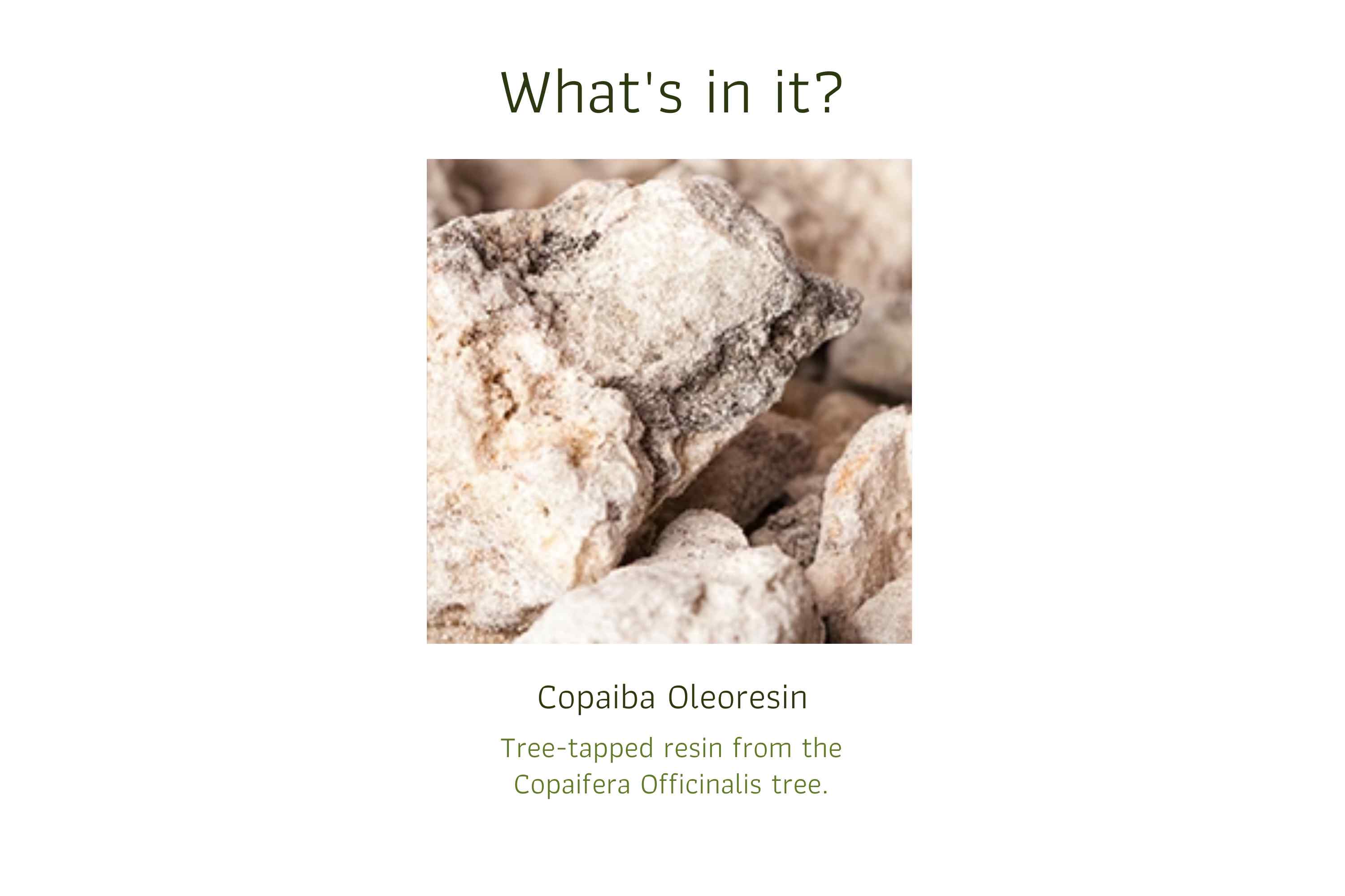 Copaiba Oleoresin
