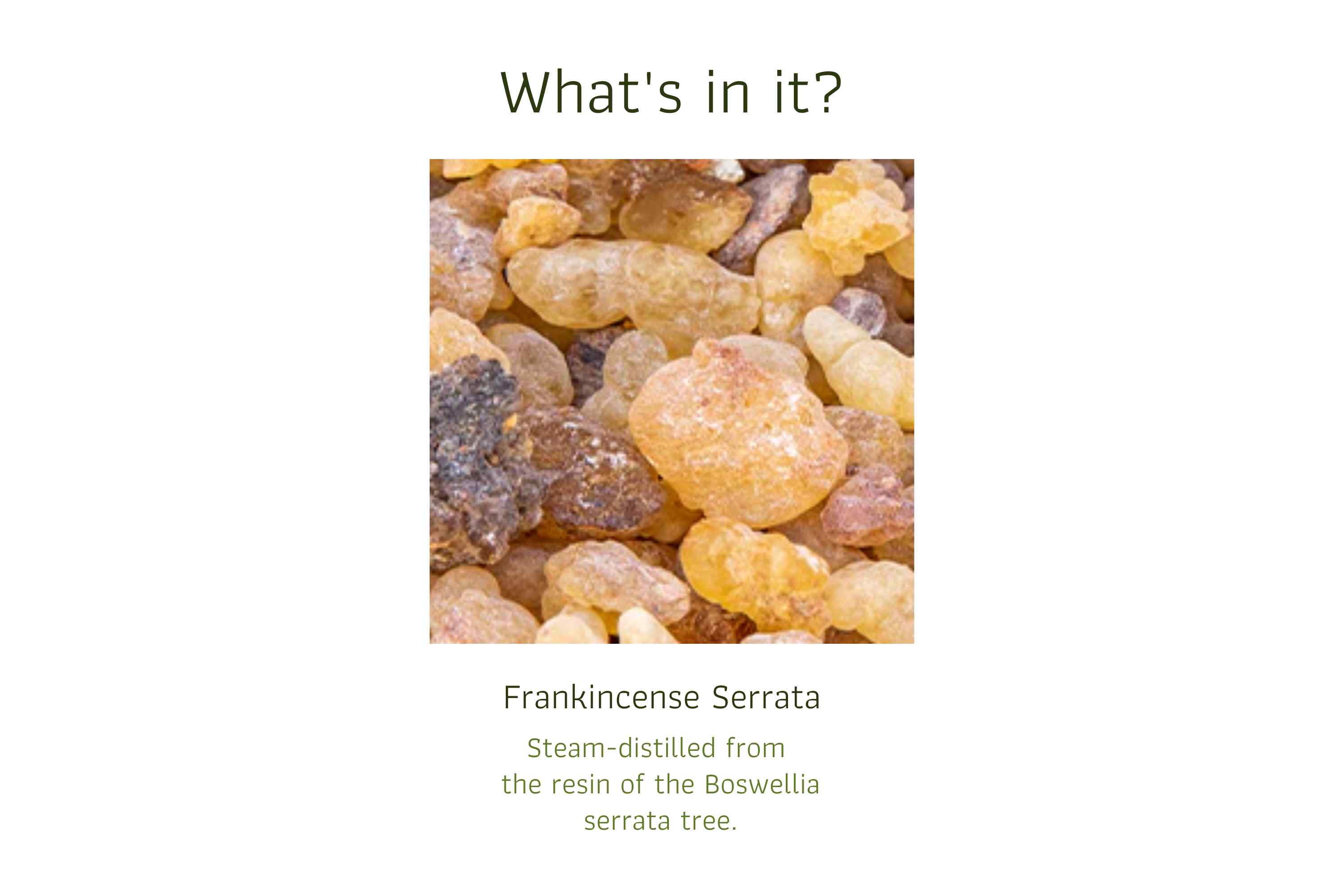 Serrata