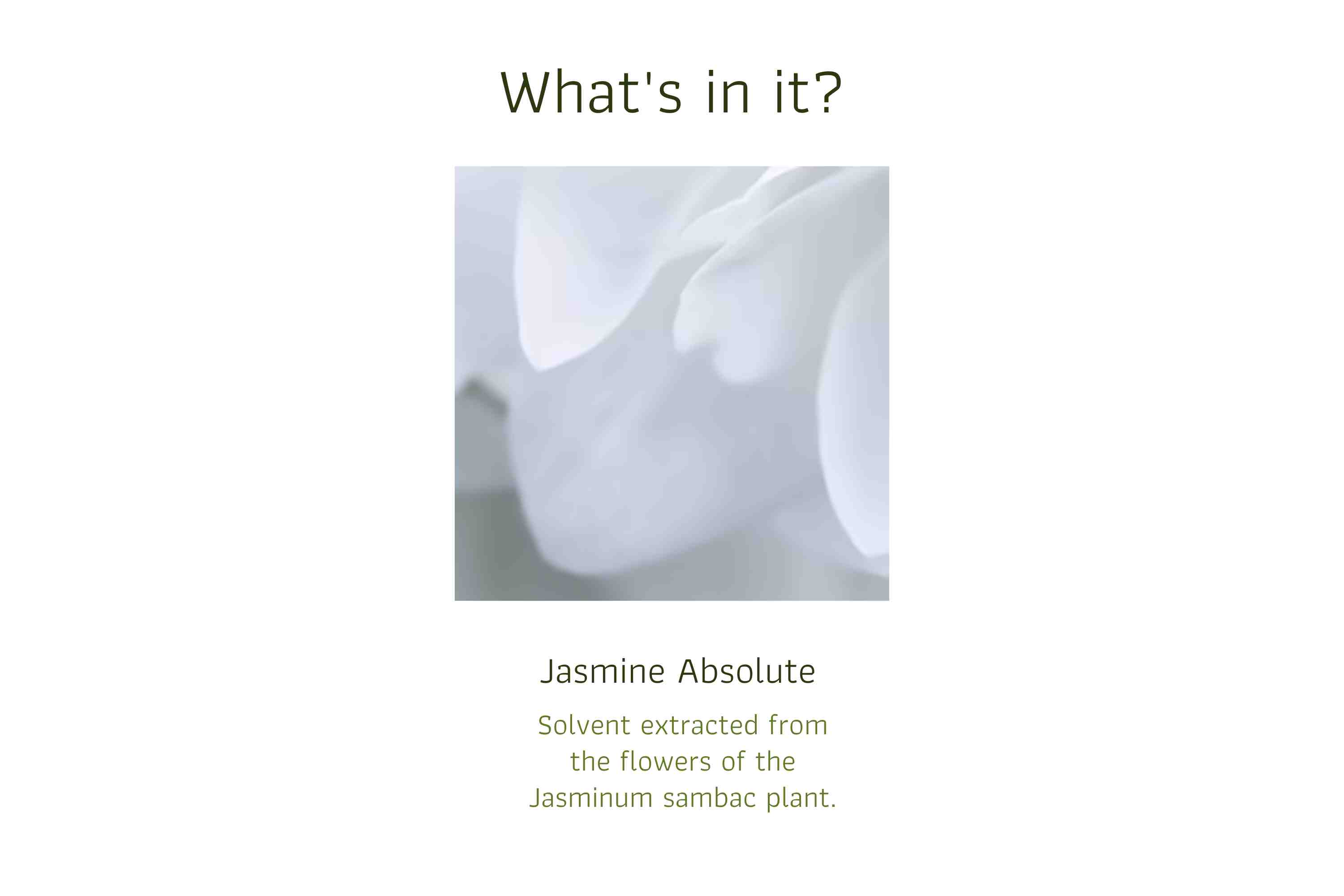 Jasmine