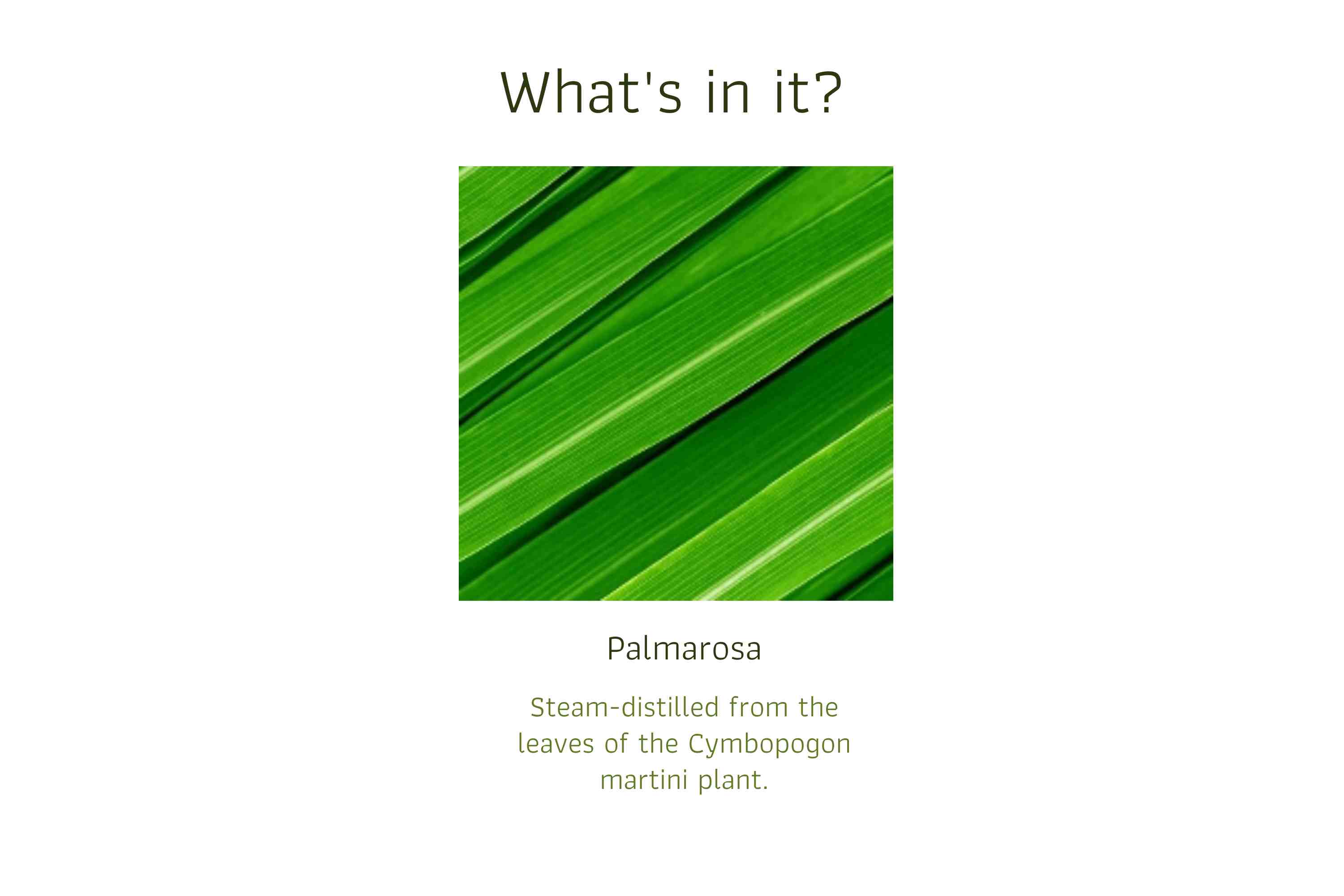 Palmarosa