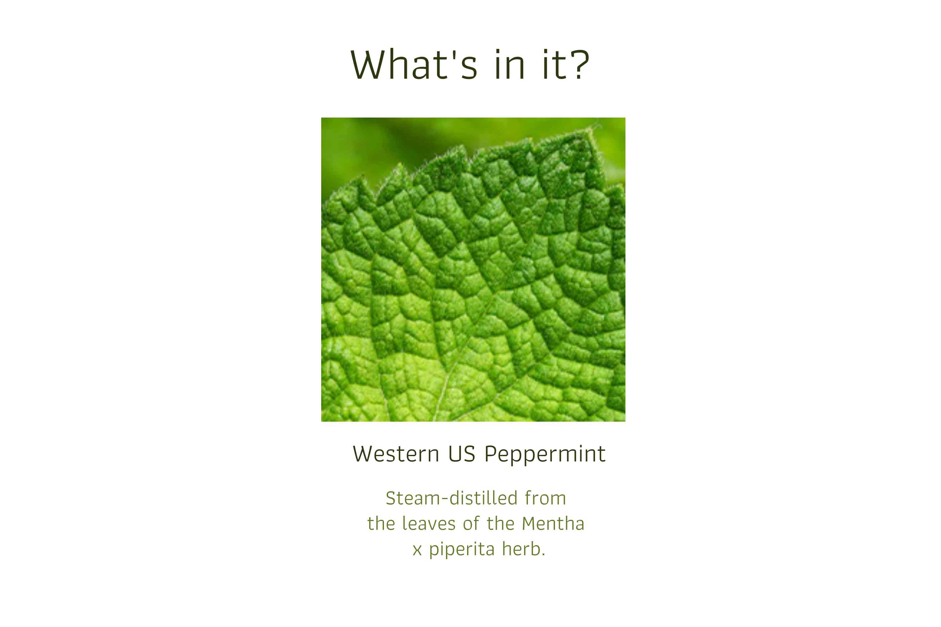 Western US