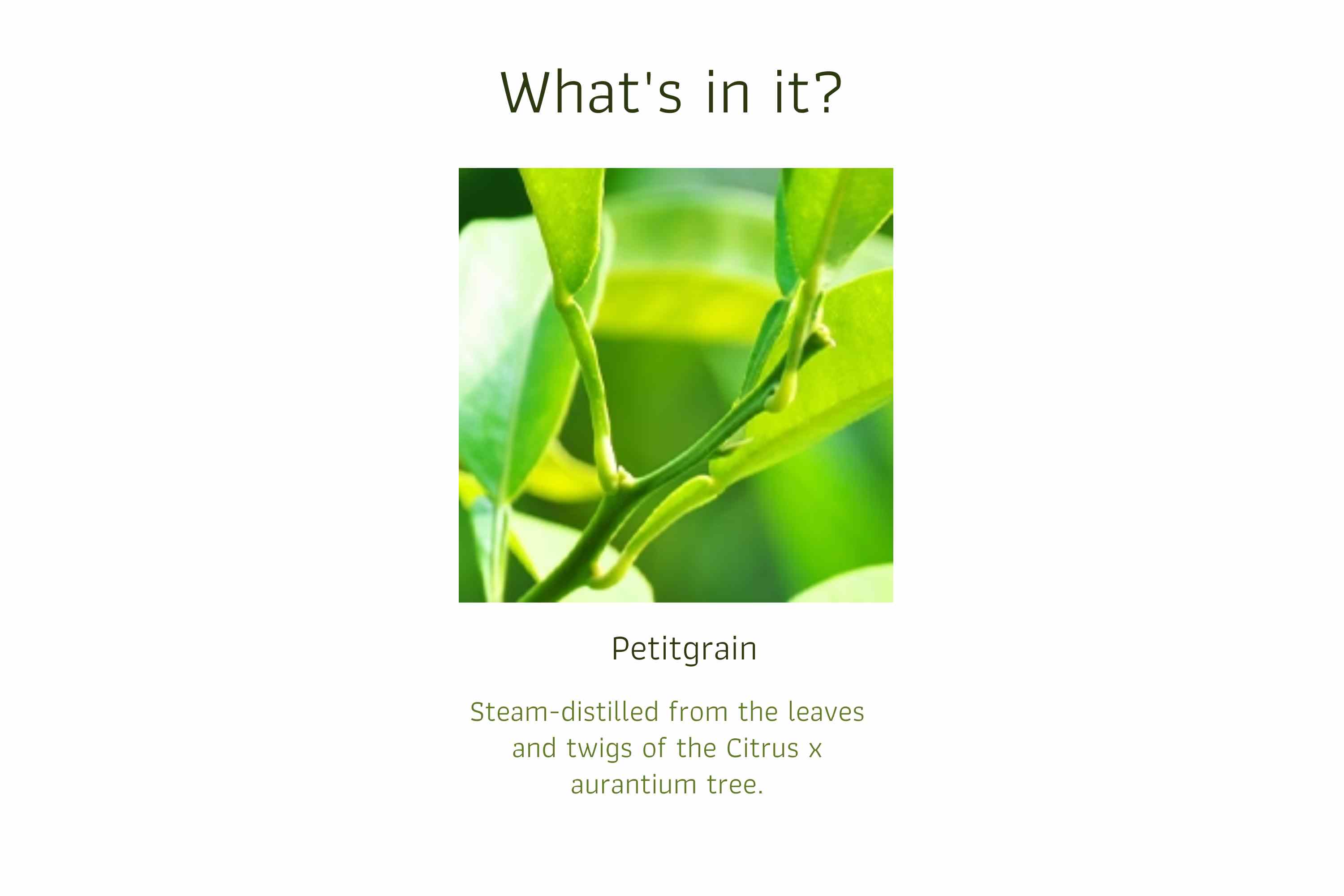 Petitgrain