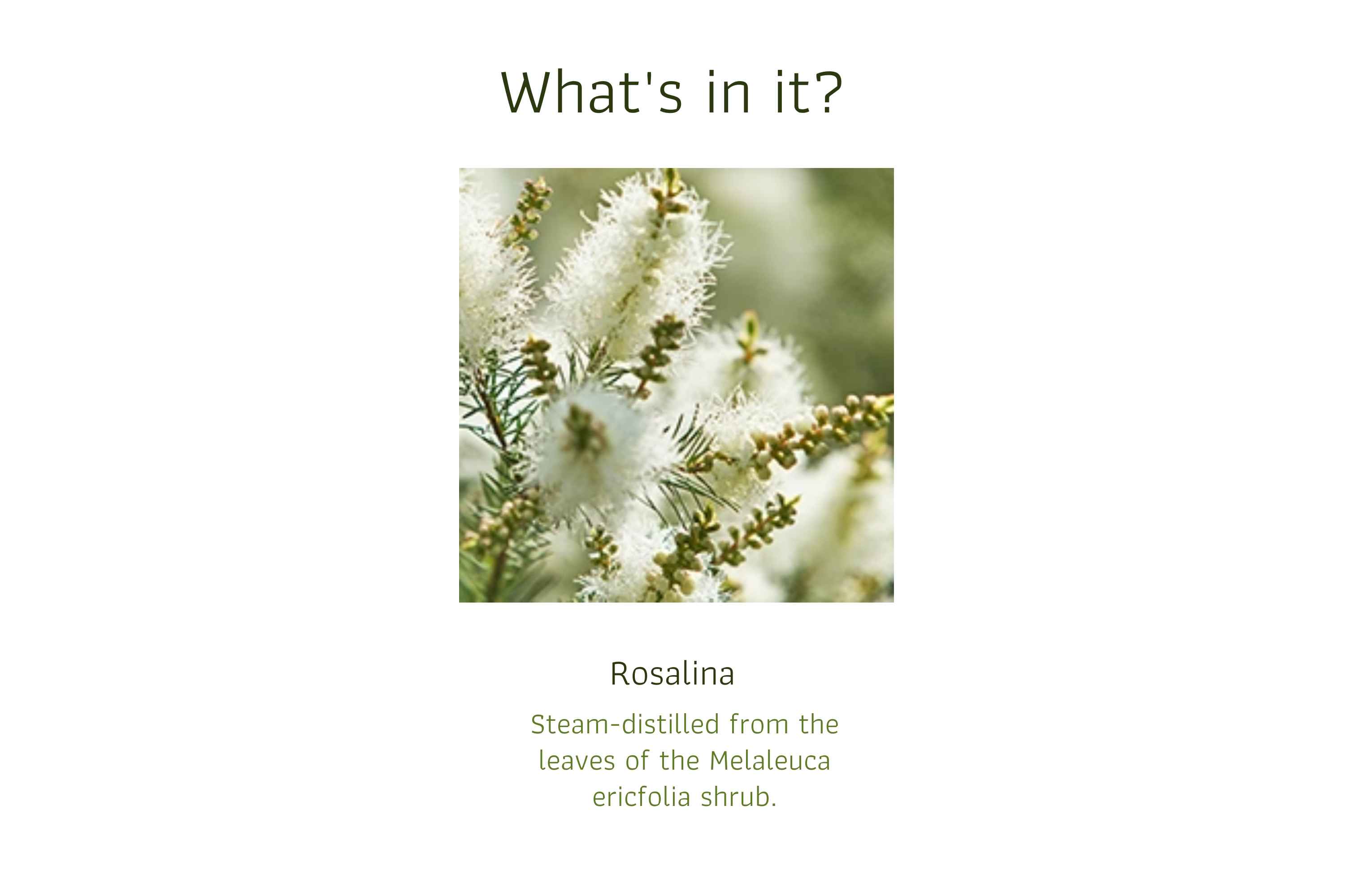 Rosalina