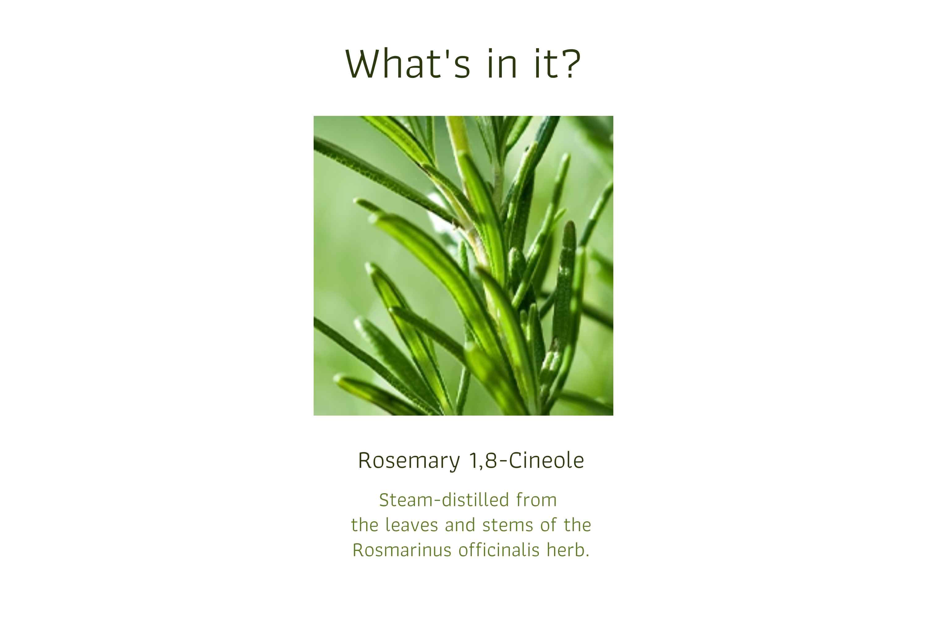 Rosemary