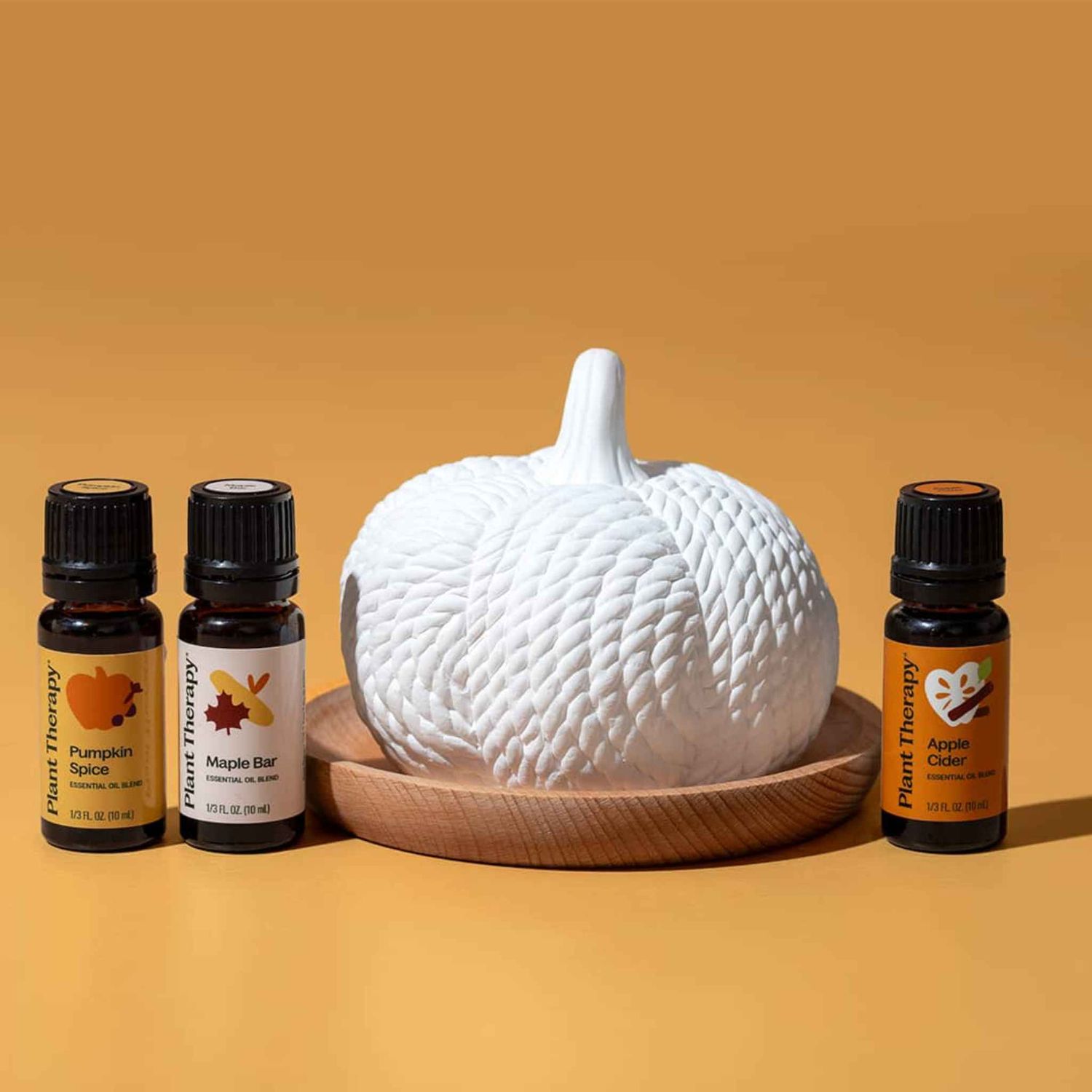 https://cdn.store-assets.com/s/257473/f/15959344.jpg