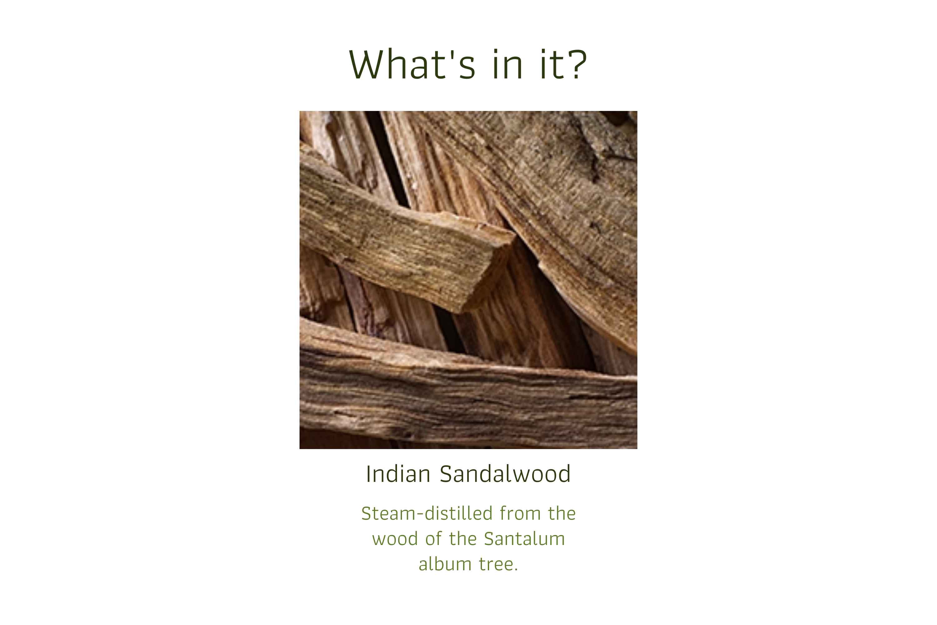 Indian Sandalwood