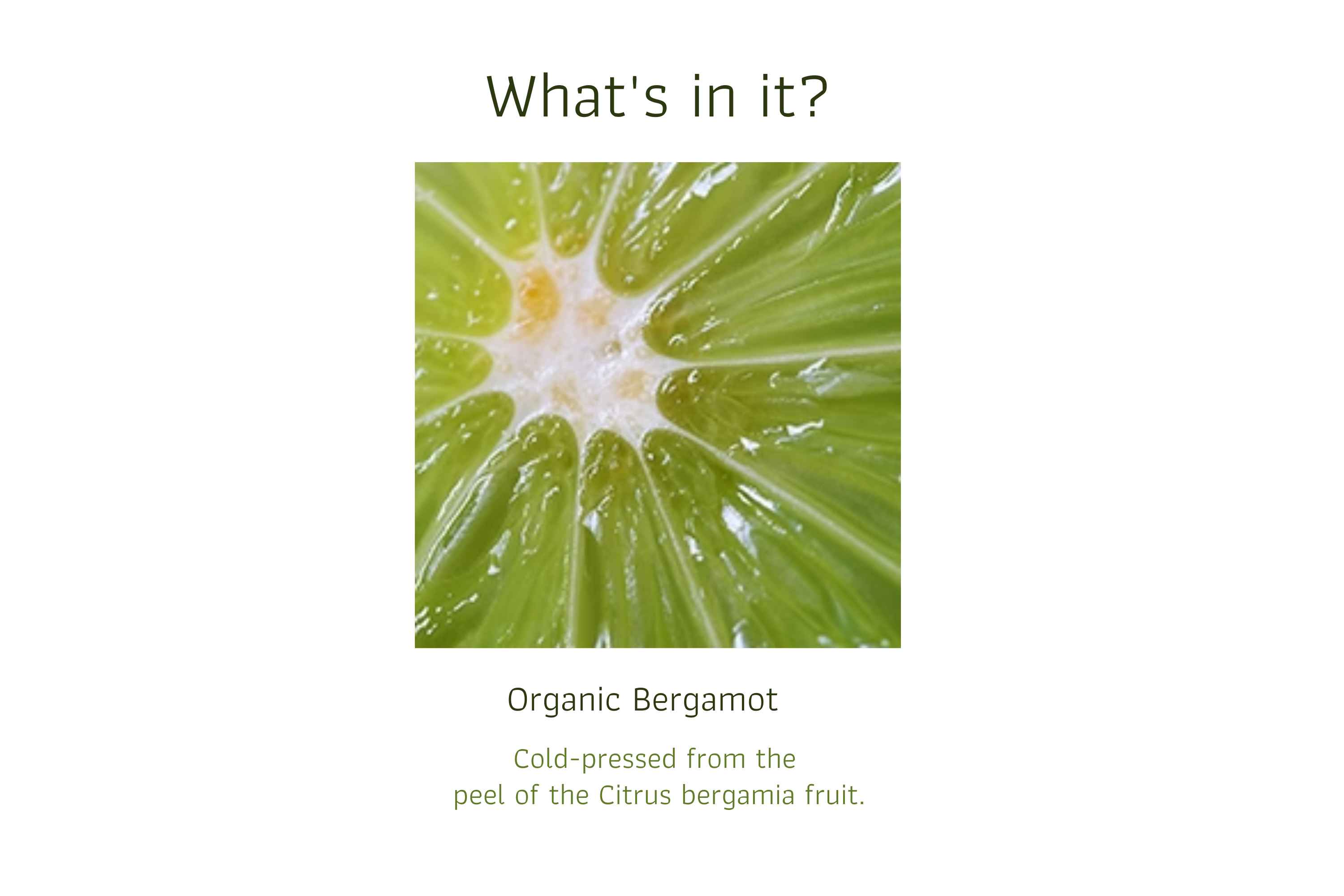 Organic Bergamot