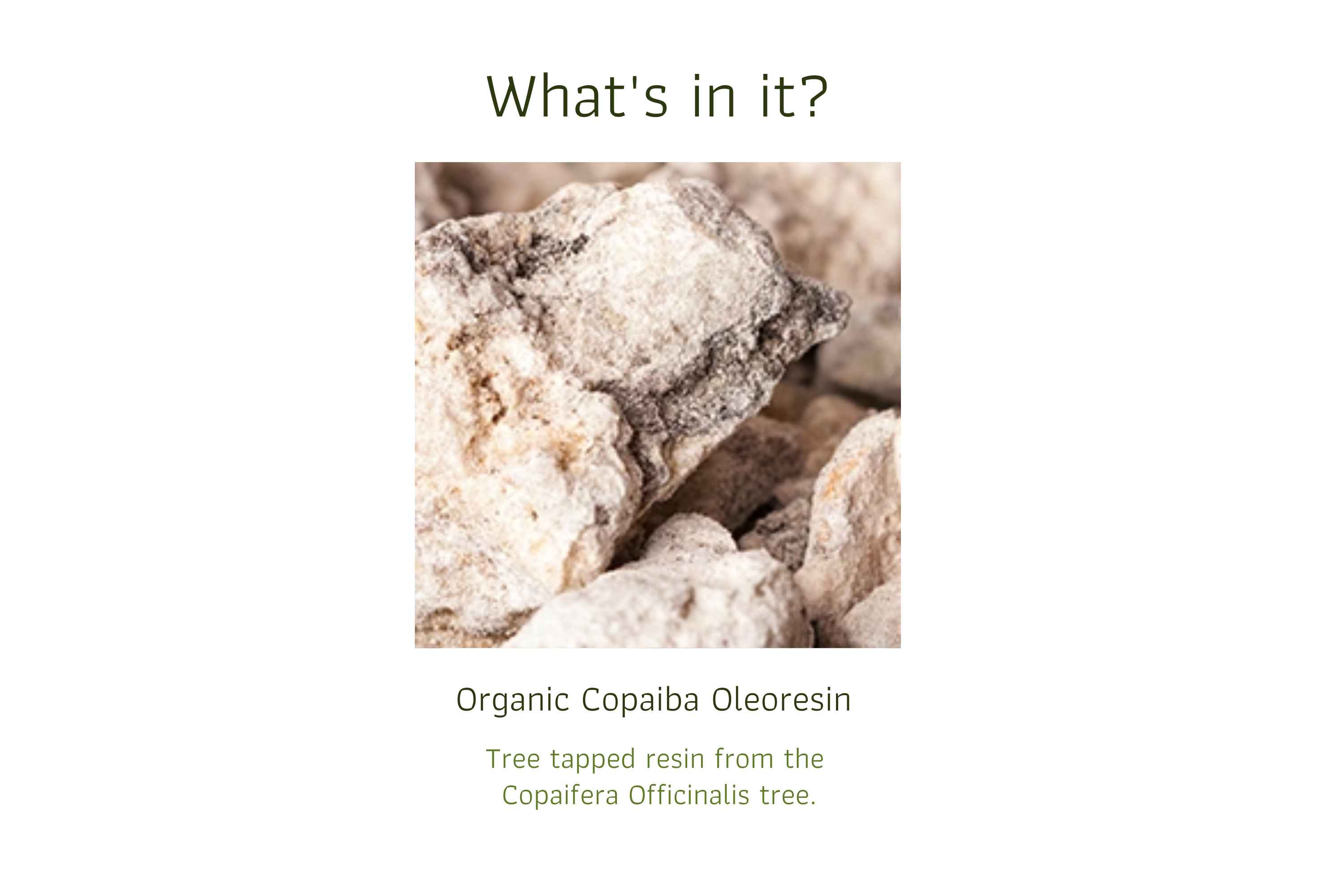 Organic Copaiba Oleoresin