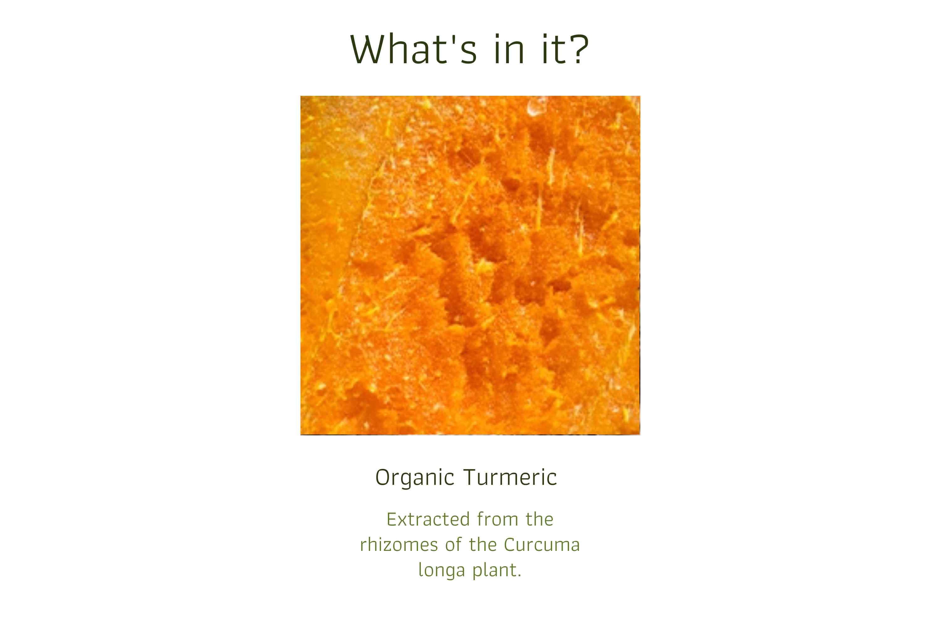 Organic Turmeric