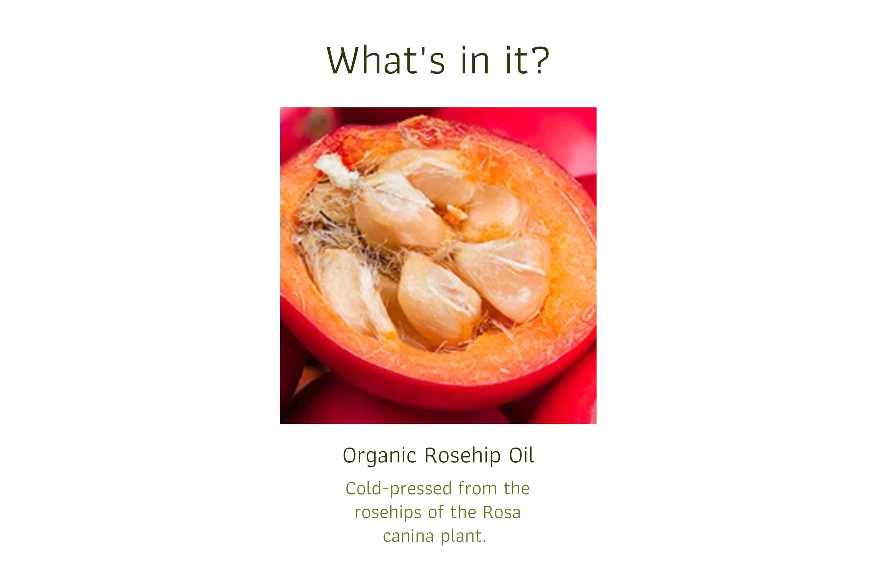 Rosehip Oil