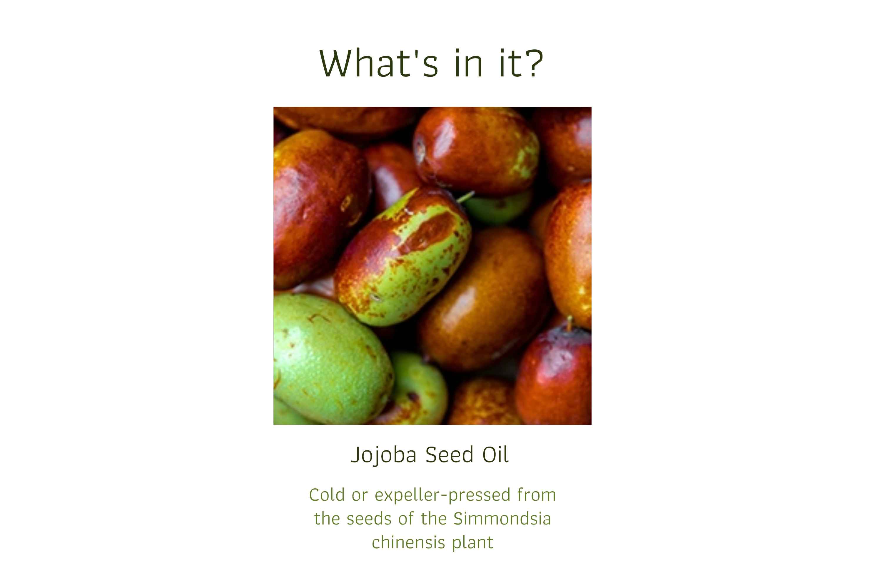 Jojoba (1)