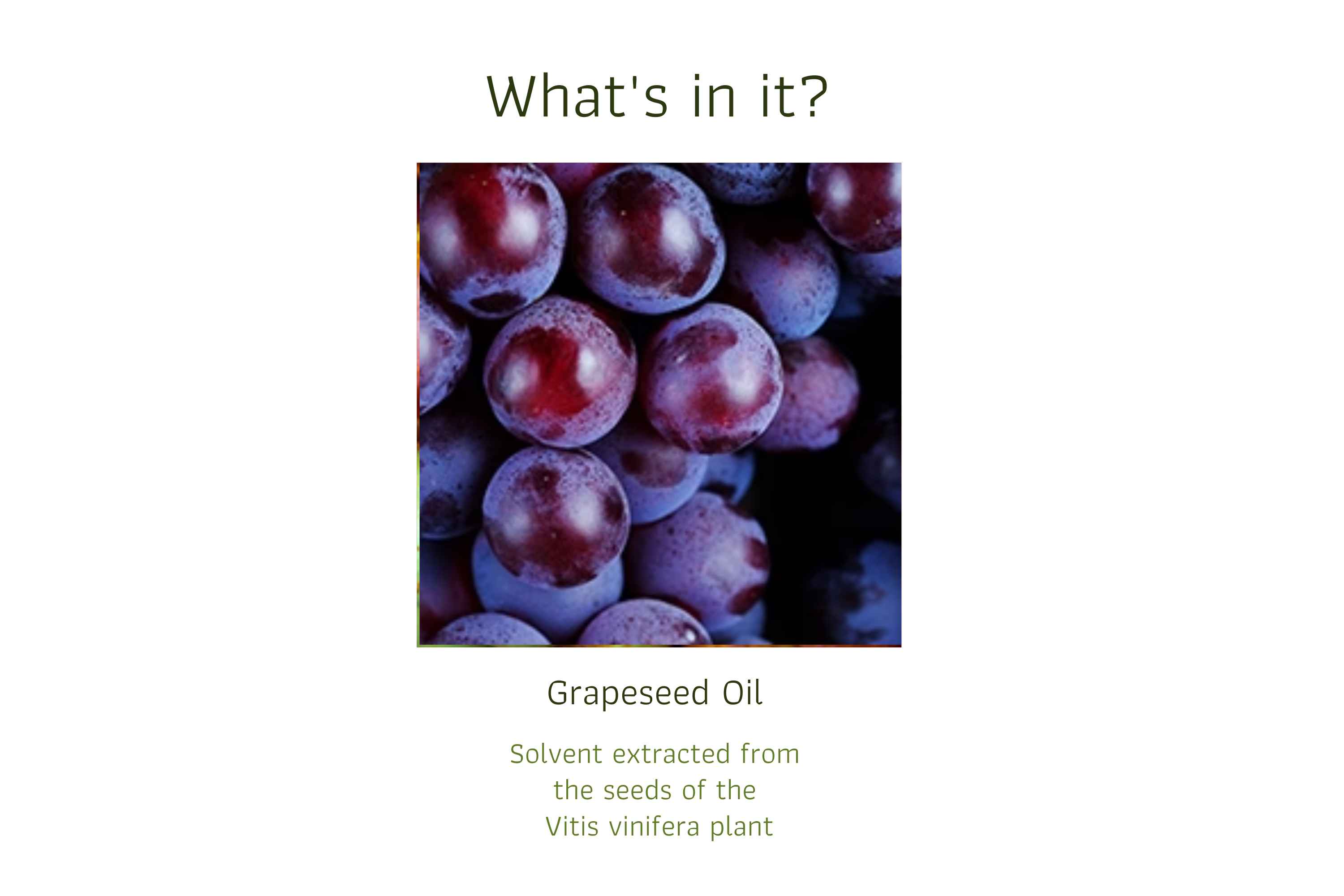 Grapeseed (1)