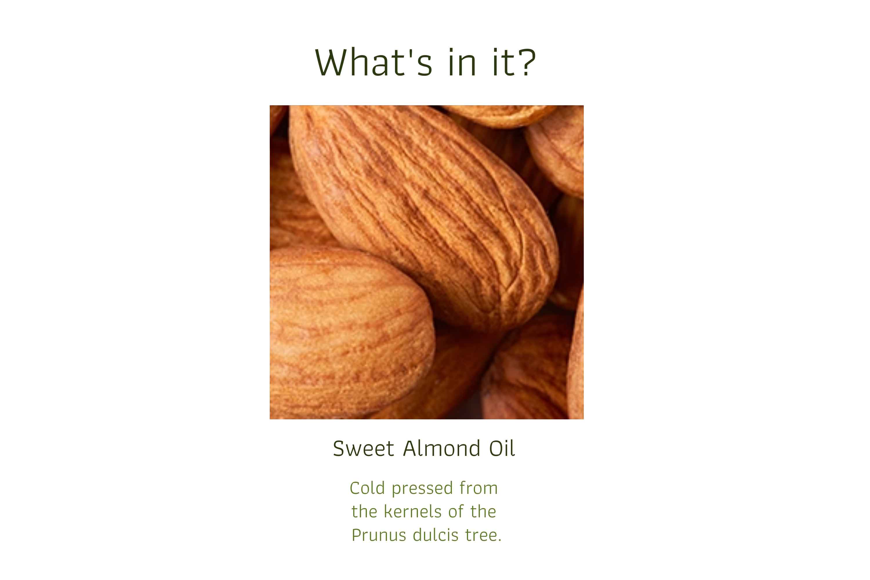 Almond (1)