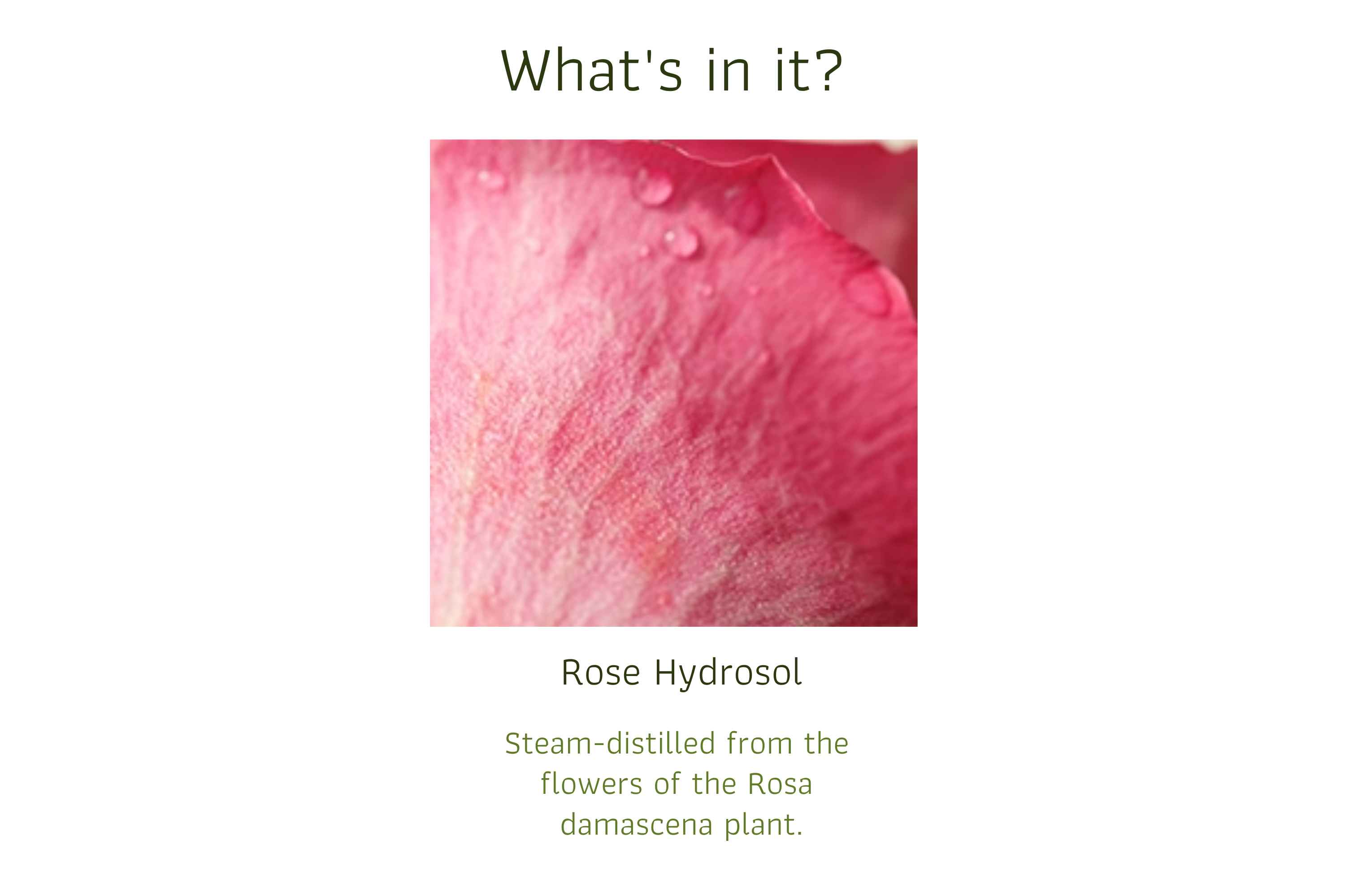 Rose Hydrosol